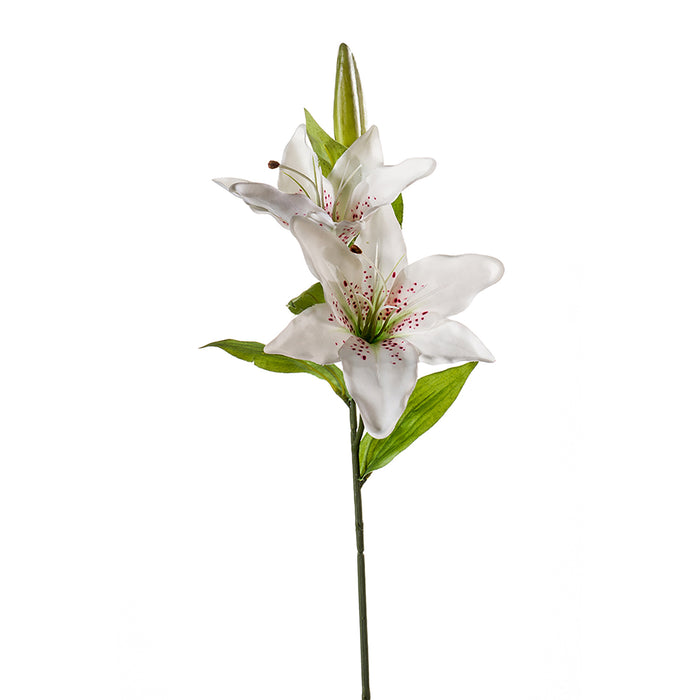 EEG Lily Spray x2 65cm White