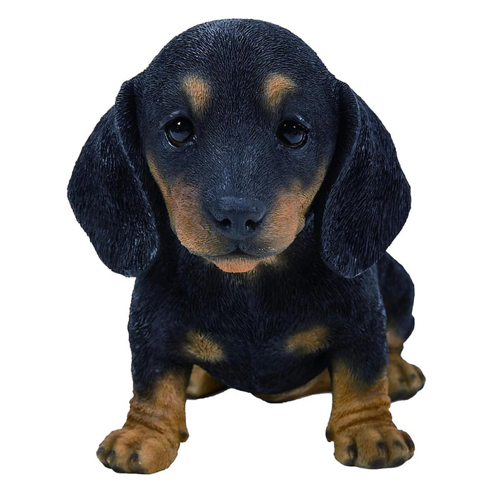 Vivid Arts Pp Black/Brown Dachshund Puppy F