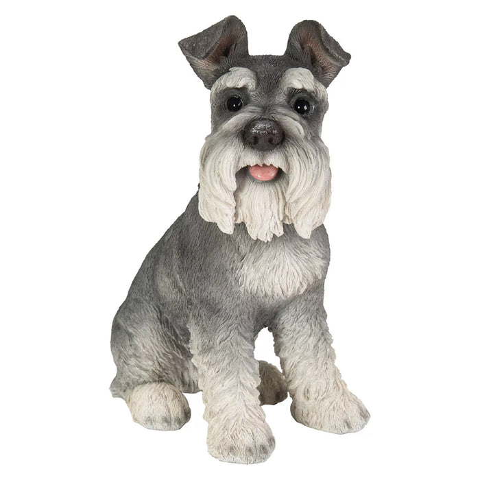Vivid Arts RL Sitting Miniature Schnauzer D