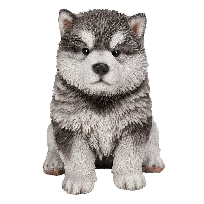 Vivid Arts Pp Malamute Pup F