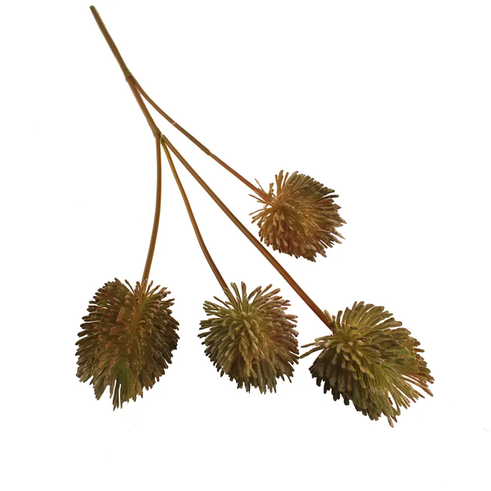 Sage Décor  Teasel Spray 72Cm