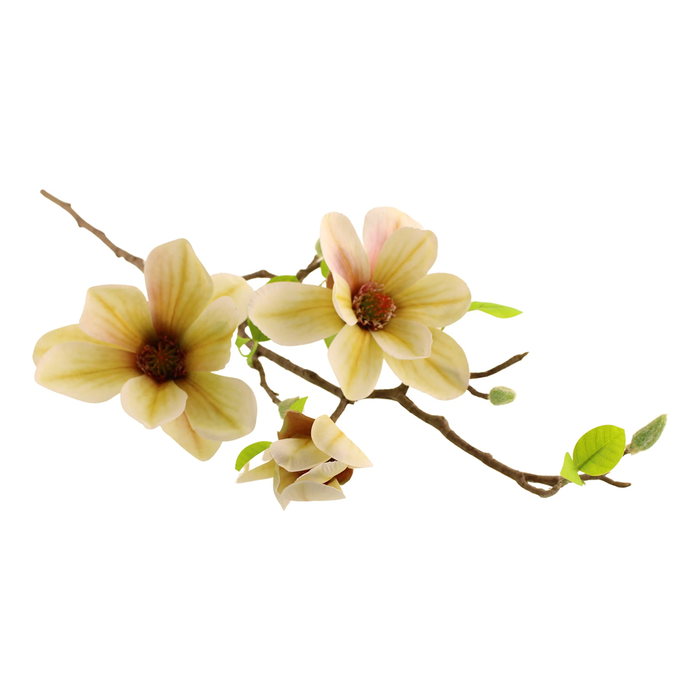 Sage Décor  Magnolia Grandiflora Spray 74Cm