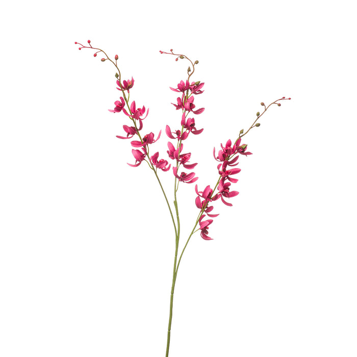 Emerald Cymbidium Spray X3 Beauty 90cm