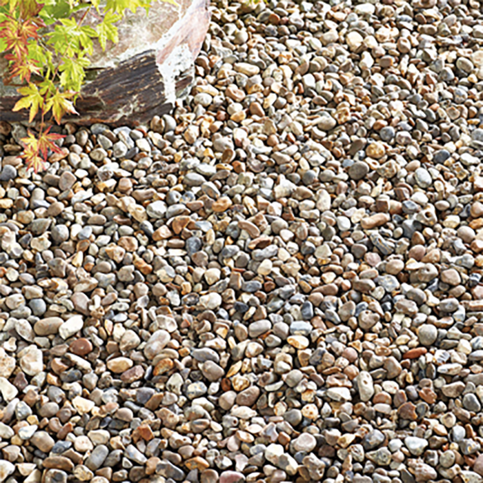 Kelkay Oyster Pearl Pebbles