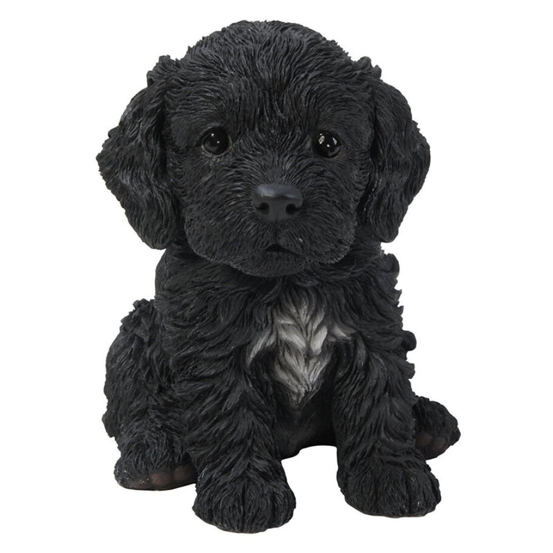Vivid Arts PP Cockapoo Puppy Black