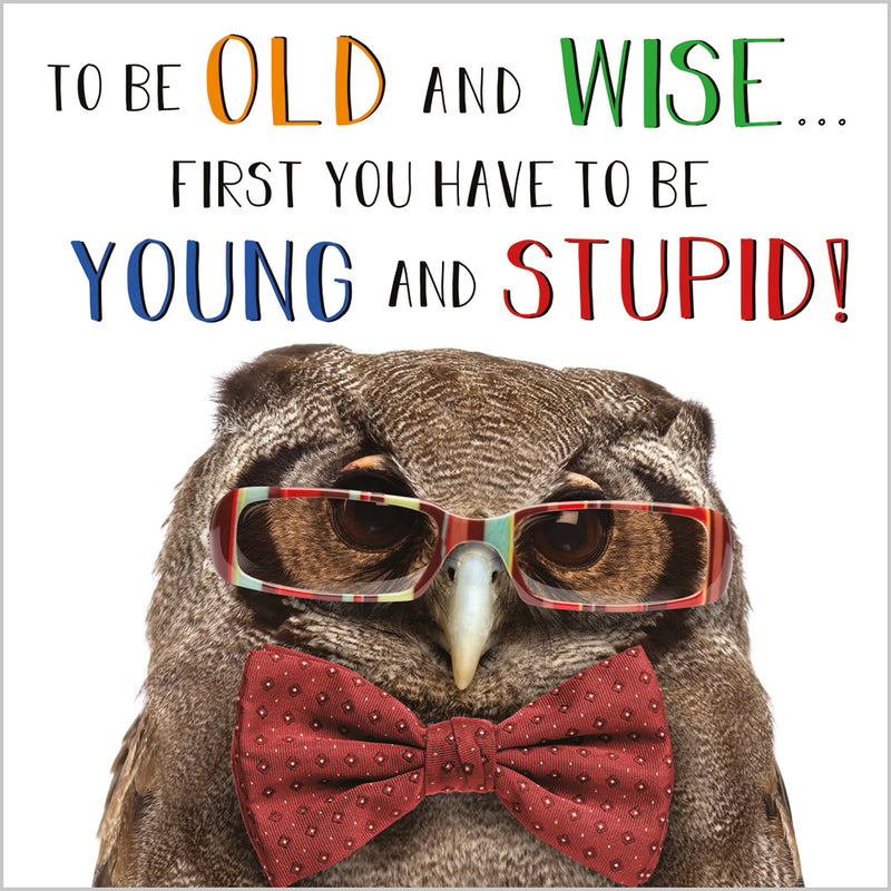 ABA Birthday Male - Wise Old Owl