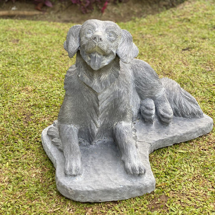 Golden Retriever 65cm