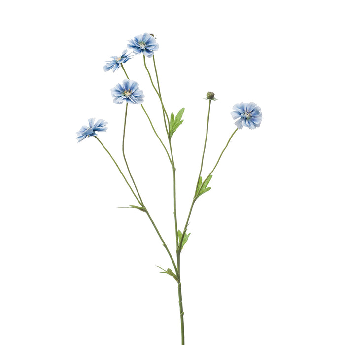 Emerald Cosmos Mini Spray Lt Blue 63cm