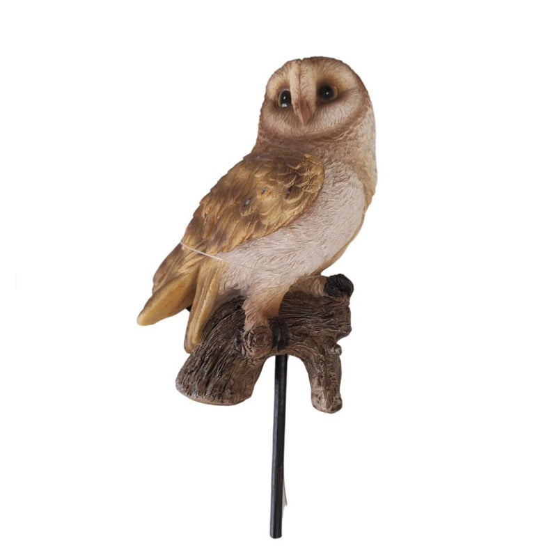 Vivid Arts Barn Owl Plant Pal Box/8