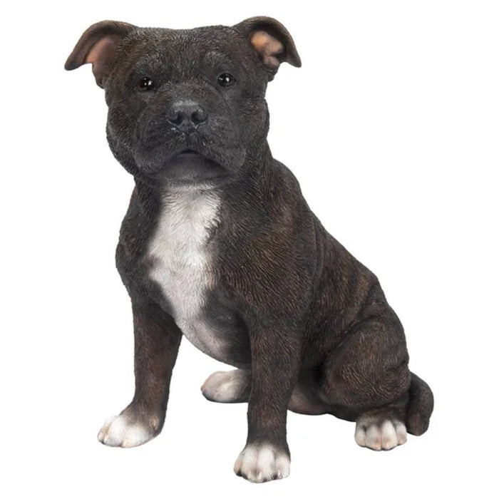 Vivid Arts Rl Staffordshire Terrier Brindle D