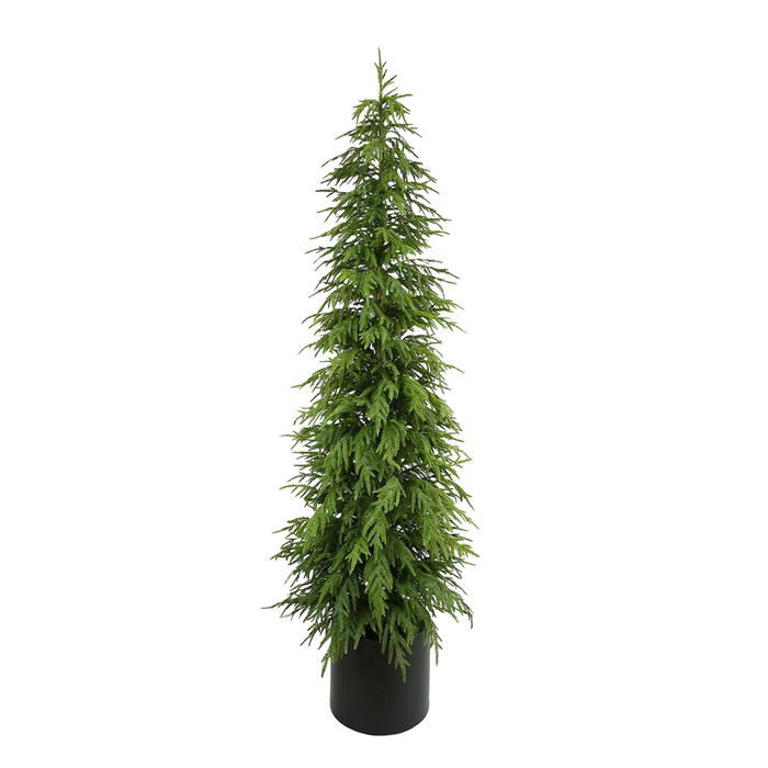 Sage Décor  Balsam Fir Tree In Planter 210Cm