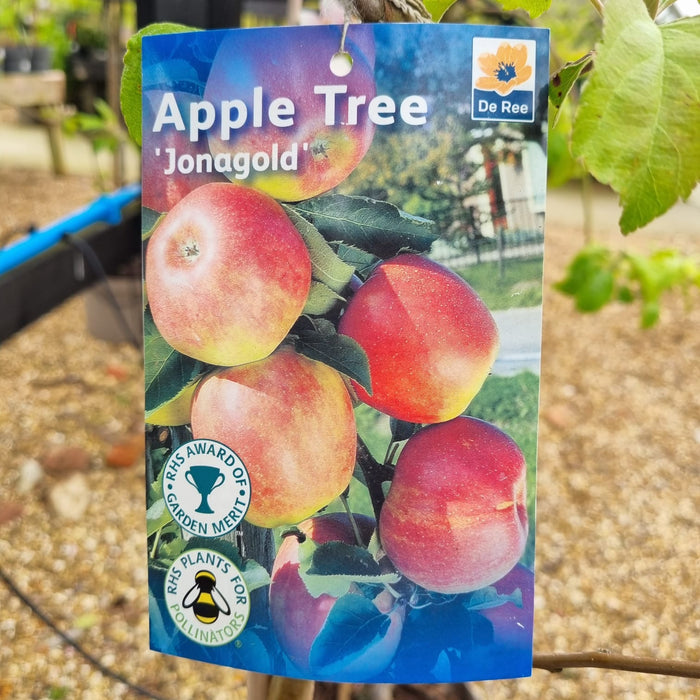 APPLE - Jonagold 10ltr