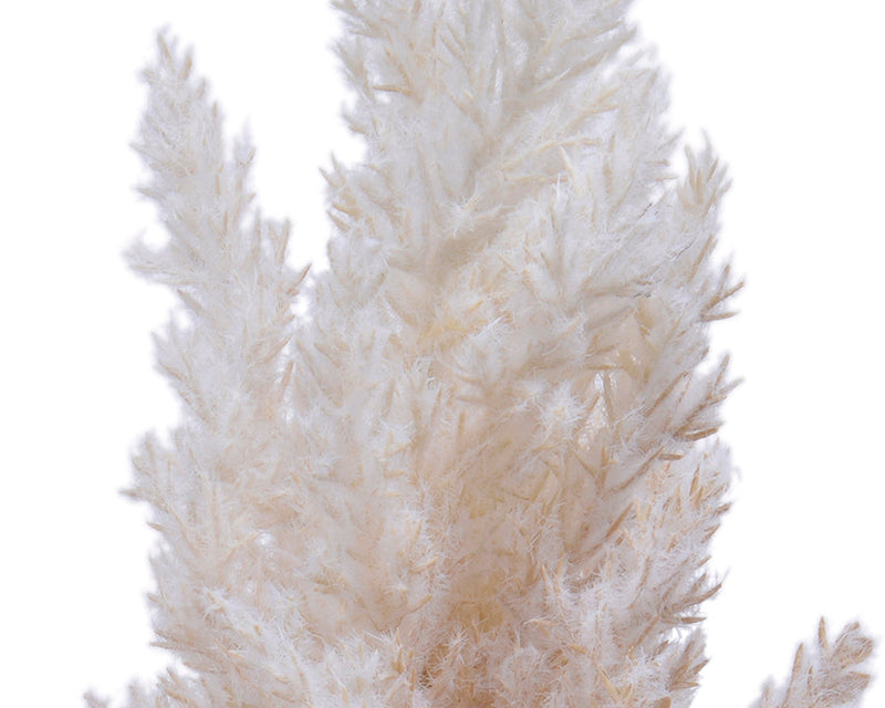 Kaemingk Pampas Grass Plume On Plastic Stem