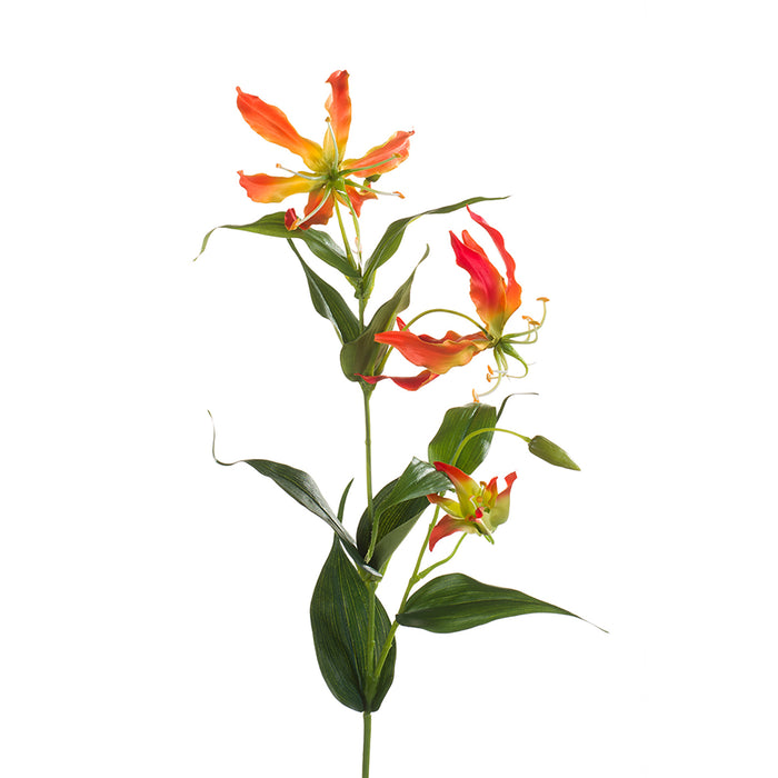 Emerald Gloriosa Spray 75cm Orange