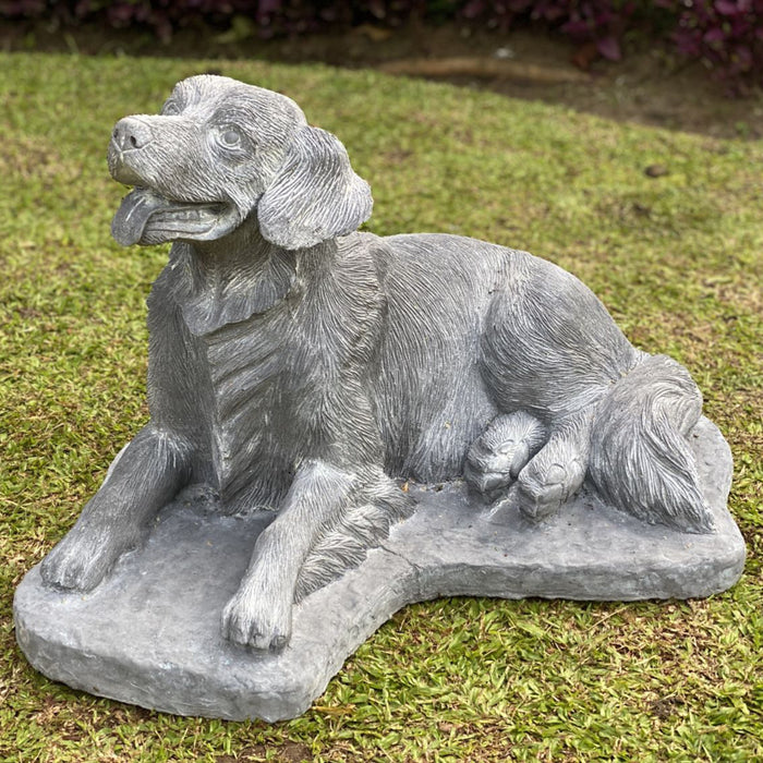 Golden Retriever 65cm