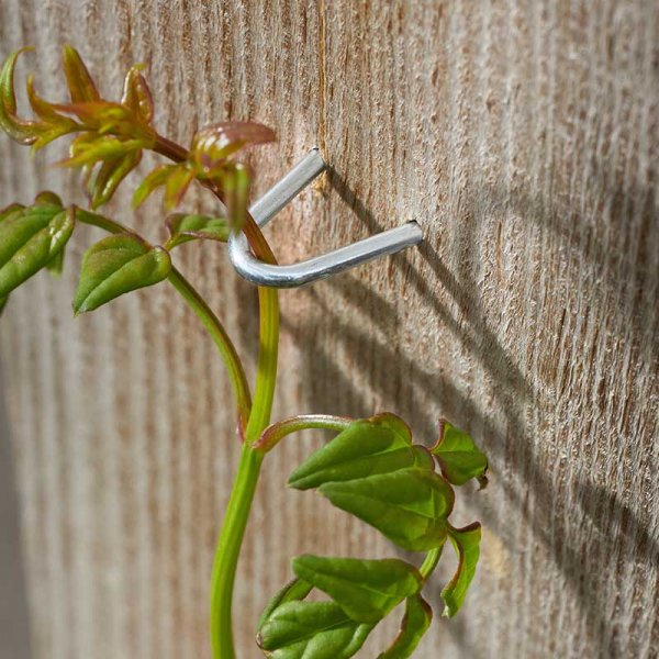 Smart Garden 25mm Galvanised Staples 100pk