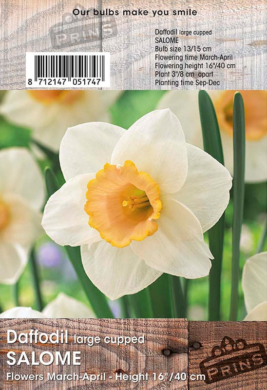 Seed packet for Salome 'Daffodil large cupped' showing a photo of a white daffodil with a yellow-orange center on a wood-textured label background with planting and bulb details.