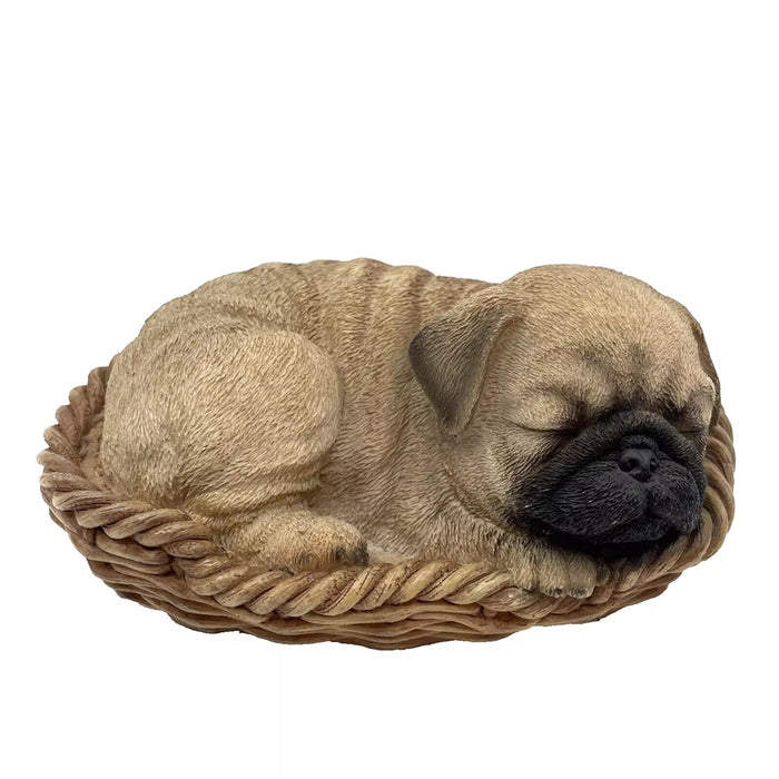 VIVID  Pug Puppy In Basket