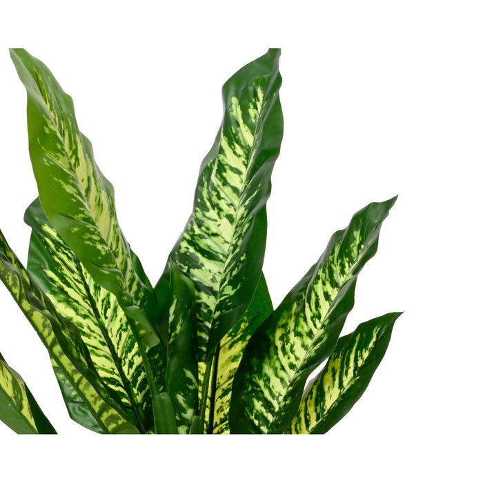 Kaemingk Plant Dieftenbachia Leaves In Pot PE