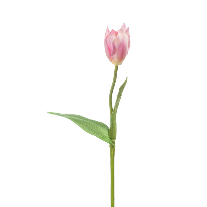 Emerald Tulip bakeri Spray 40cm Pink