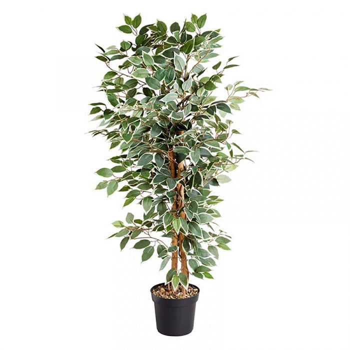 Smart Garden Weeping Fig 130 cm