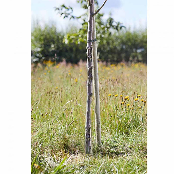 SmartGarden Round Softwood Tree Stakes 180 cm **