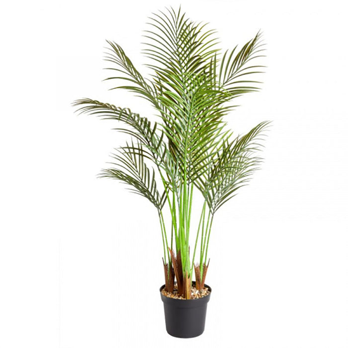Smart Garden Phoenix Palm 124 cm