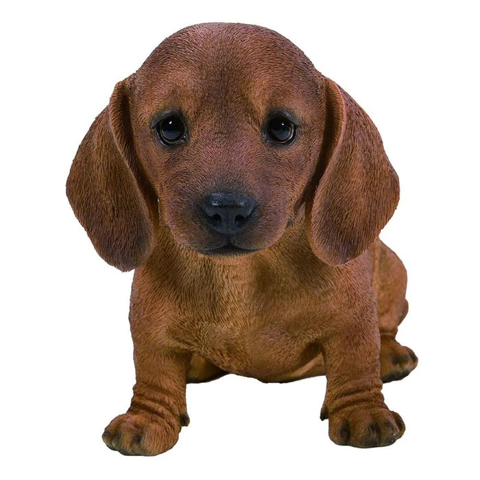 Vivid Arts Pp Brown Dachshund Puppy F