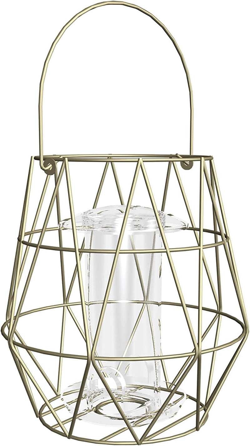 GARDMAN Aura Small Bird Feeder