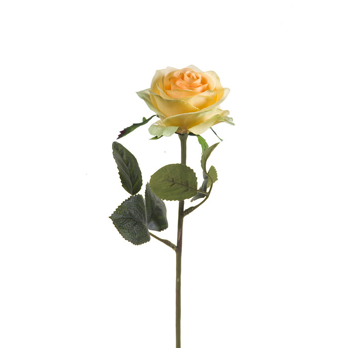 Emerald Rose Simone 45cm Yellow