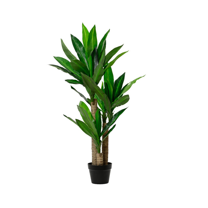 Kaemingk Dracaena Dracaena Fragrans In Pot Plastic