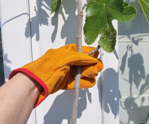 KF  Bramble Working Gloves