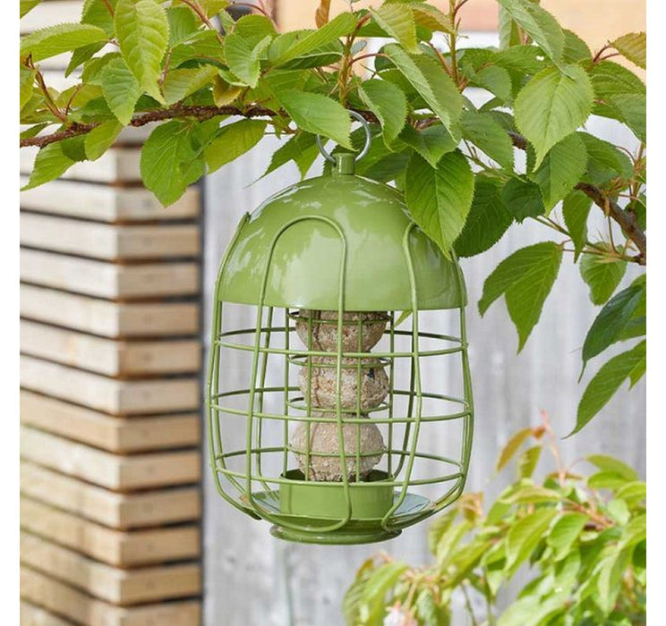 Chapelwood Acorn Squirrel Proof Suet Ball Feeder