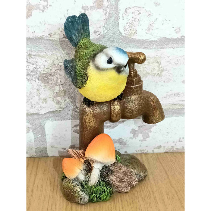 Vivid Arts Blue Tit On Garden Tap F