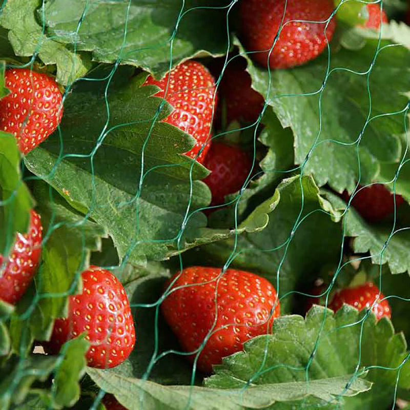 SmartGarden Garden Netting - Green 15mm Mesh 2 x 5m