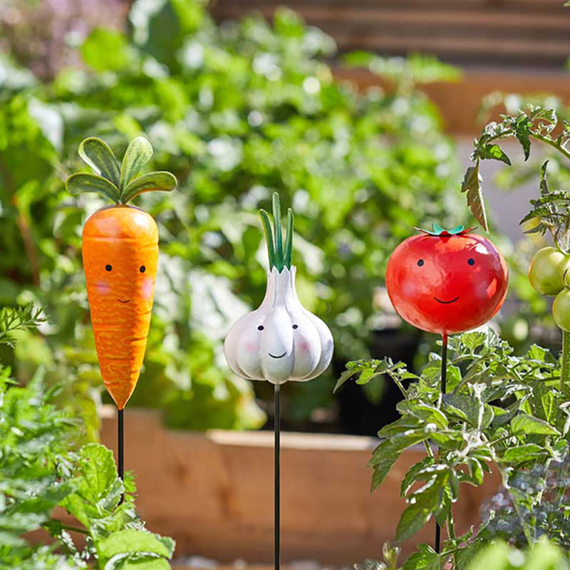 Flamboya Veggies - Tomato/Garlic/Carrot