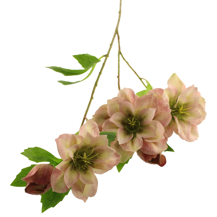 Sage Décor  Ashwood Hellebore Spray 64Cm