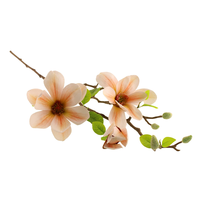 Sage Décor  Magnolia Grandiflora Spray 74Cm