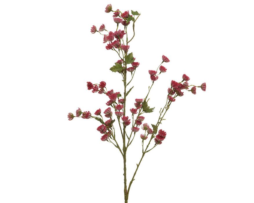 KMG Red Branch with Flowers