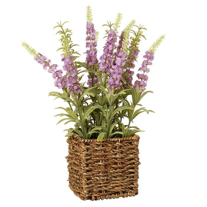 Heaven Sends Lilac Flowers