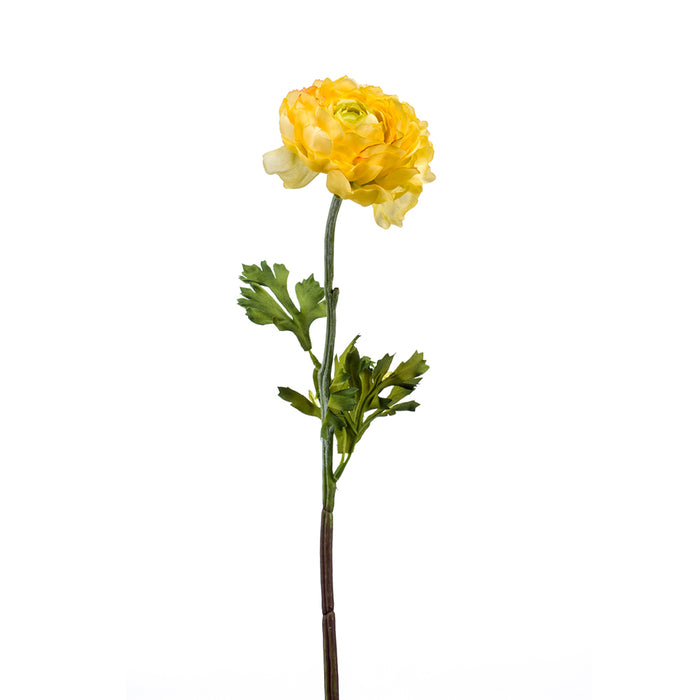 Emerald Ranunculus Spray Yellow 50cm