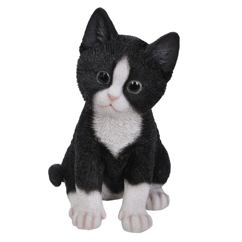 Vivid Arts Pp Kitten Blk/Wht F