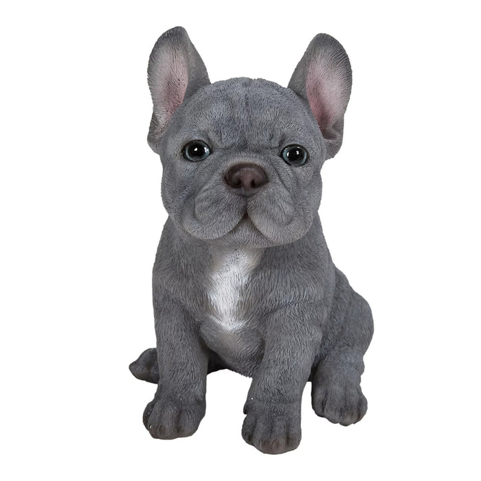 Vivid Arts PP Blue French Bulldog F
