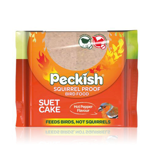 Westland PK Squirrel-Proof Suet Cake