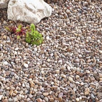 Kelkay Quartzite Pea 20Mm