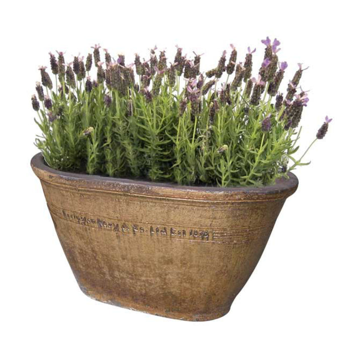 ERRINGTON REAY Oval Tub Old Leather S3