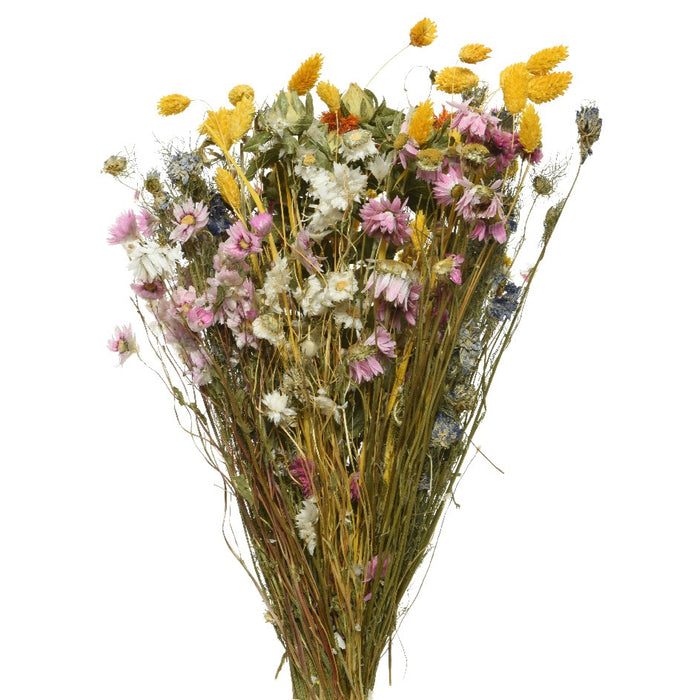 Kaemingk Bouquet Mix On Stem Dried Flower