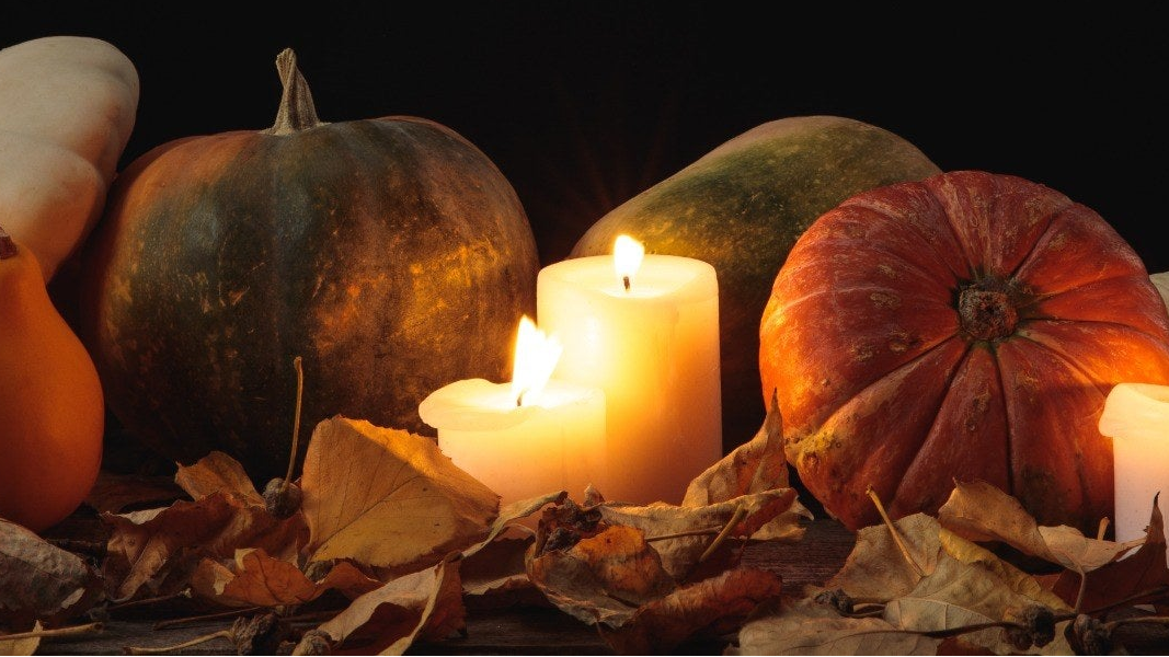 Learn More About Pumpkin Nights