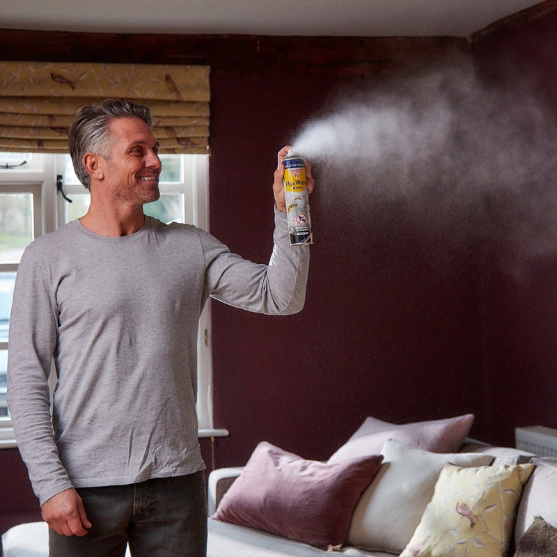 STV Fly & Wasp Killer - 300ml Aerosol