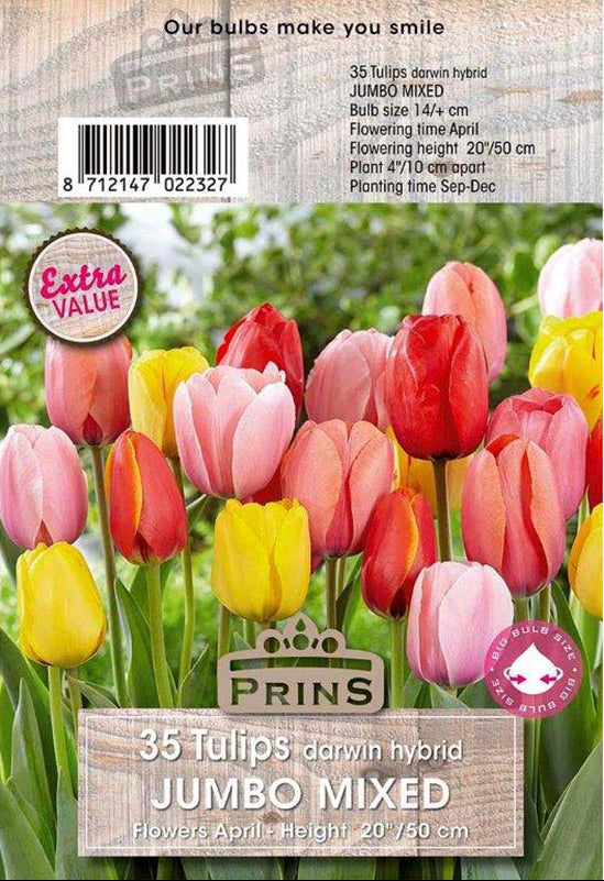 Prins Tulips Jumbo Mixed 35 P.P.